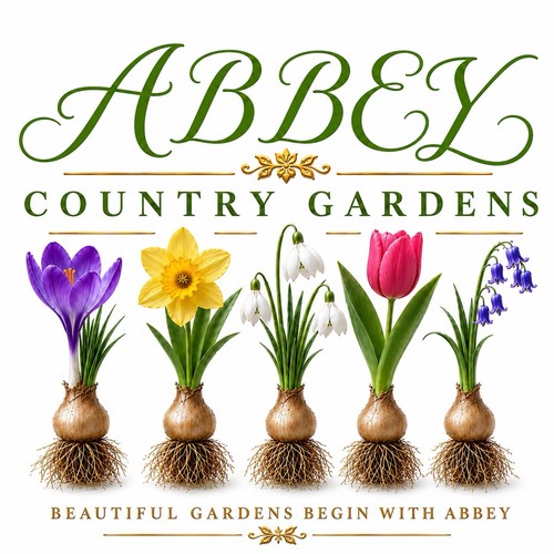 Spring bulb collection of - spring,