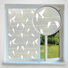 Privacy Frosted Window Film