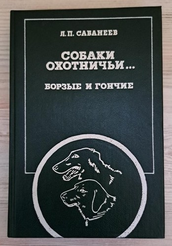 Borzoi russian wolfhound - russian, dog