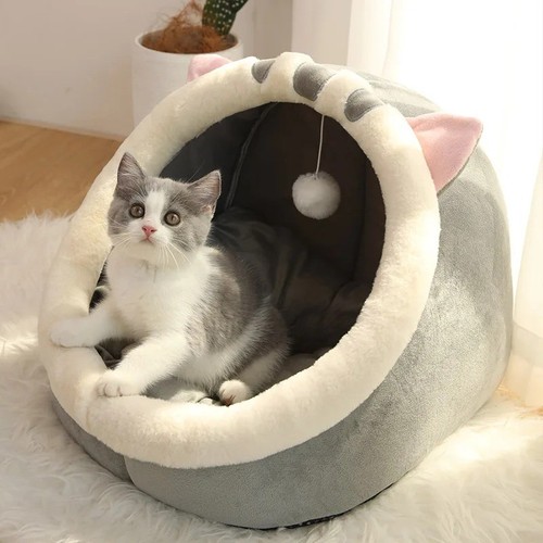 Deep sleep cat - cat, cave