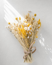 cottage flowers dried flower