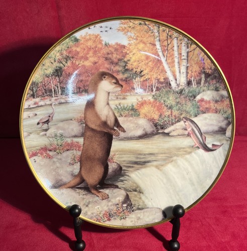 The woodland year otter - the, a