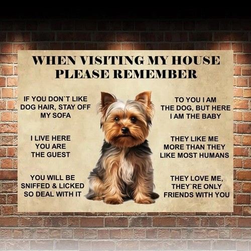 Funny cute yorkshire terrier - funny,