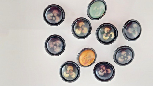 Antique buttons with plate - 10,