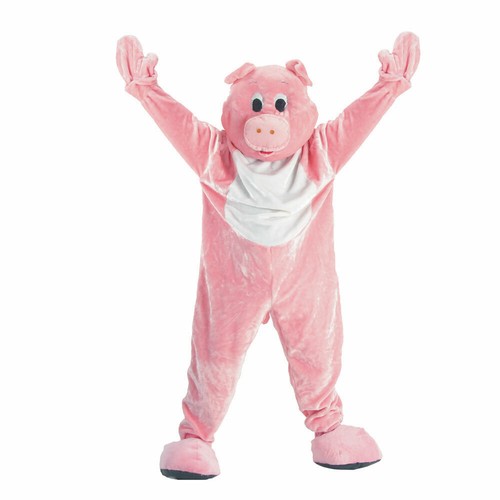 Kids and adults pig - pig, mascot