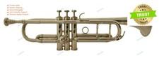 Professional classical - professional,