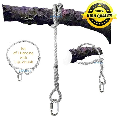 Tree swing hanging - tree,