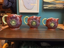 Shorter son anemone jugs - &,