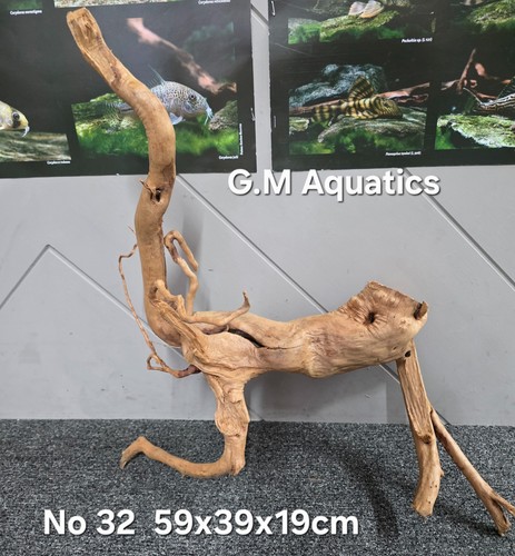 Azalea wood red moor no - ,