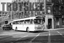 35mm Negative Alexander