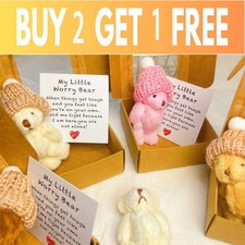 My Litter Worry Bear Mini Plush Teddy Bear in Box Kids Gifts Pocket Teddy Bear