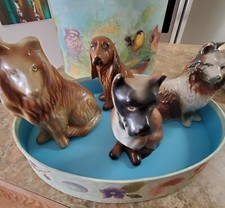 DOGS OF BRAZIL 4 PUPPIES TO