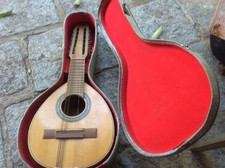 bandurria Garijo spanish