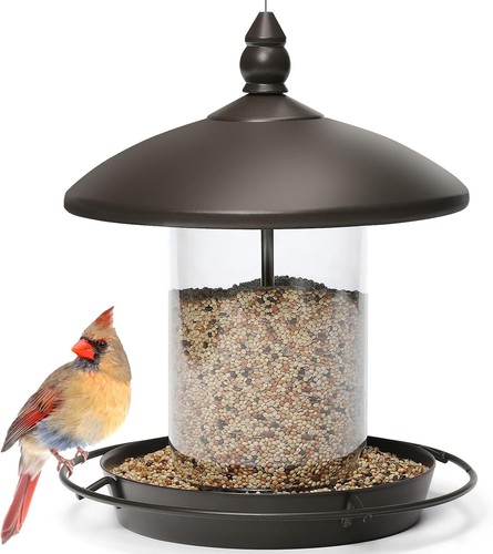 Metal roof bird feeder chew - bird,