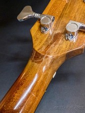 Gibson Les Paul Triumph Bass