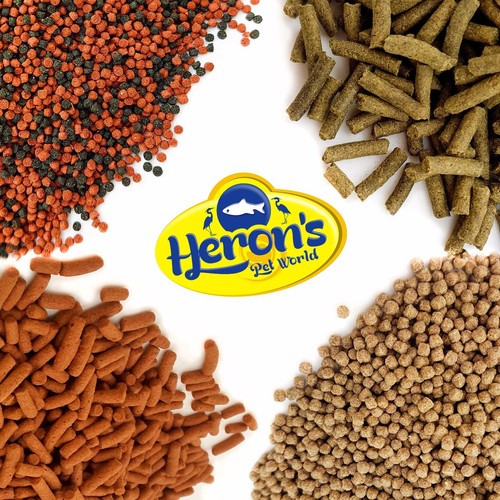 Herons cichlid fish food - fish,