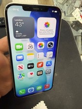 iphone 12 pro max 256gb