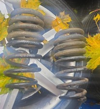 Eibach Rear Lowering Springs Honda Civic