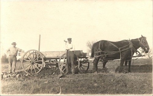 Horse drawn farm - farm, wagon
