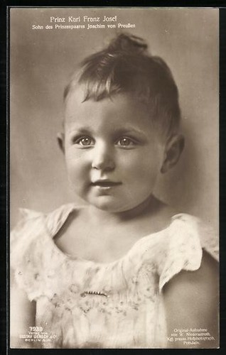 Prince karl franz joseph - prince,