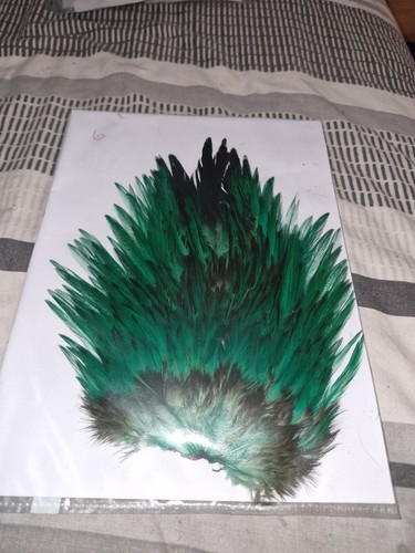 Large saddle cock - saddle, hackles