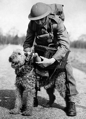 Canadian soldier carrier - soldier, a