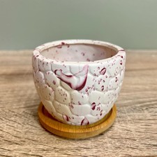 Ceramic Succulent Plant Pots