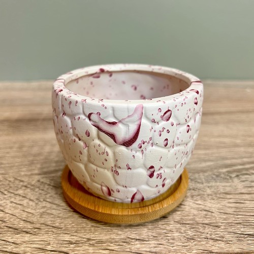 Ceramic succulent plant pots - ceramic,