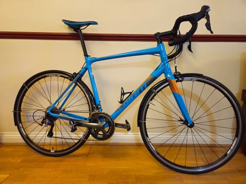 2018 giant contend - 2018,