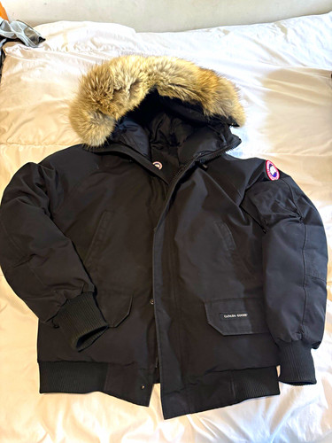 Canada goose chilliwack - chilliwack, bomber
