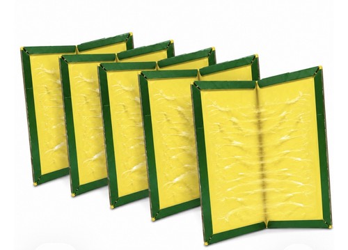 Sticky glue trap - 5x,