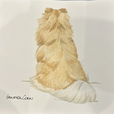 Shetland Sheepdog Original