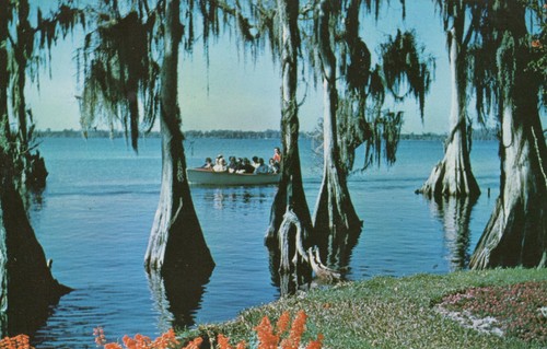 Cypress gardens florida - cypress,
