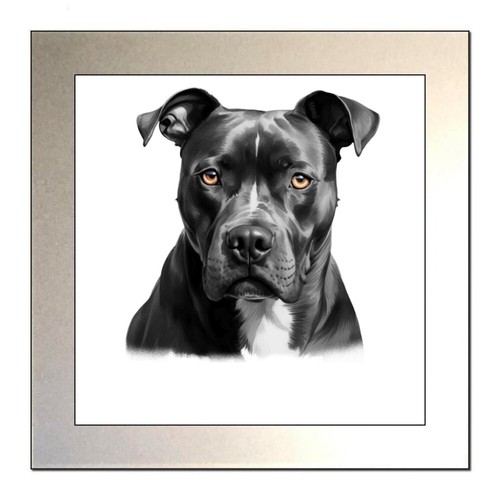 Personalised staffordshire - personalised,