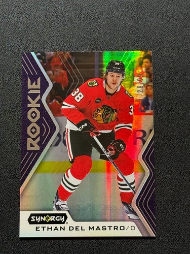 2024 upper deck synergy - 2024-25,