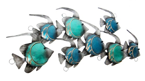 School blue angel fish - of,