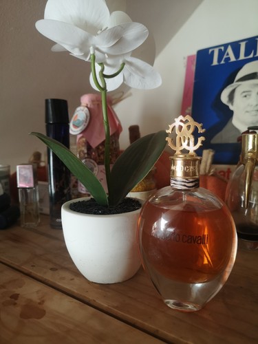 Roberto cavalli eau - cavalli, parfum