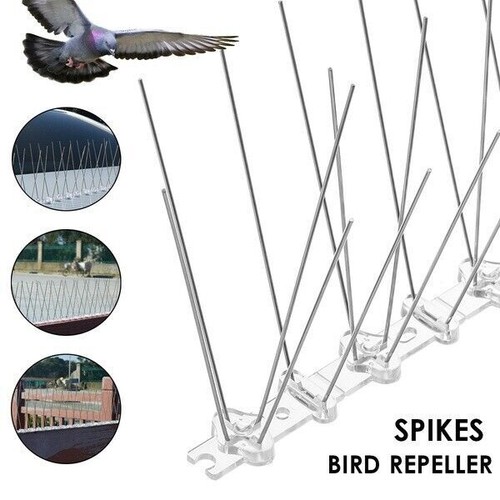 Steel bird spikes cat anti - bird,