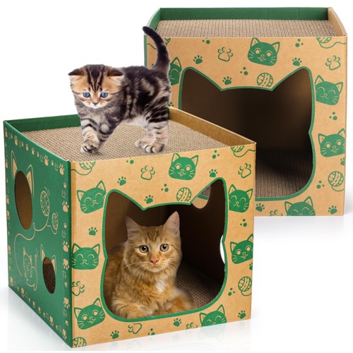Pumtus pack cardboard - pumtus,
