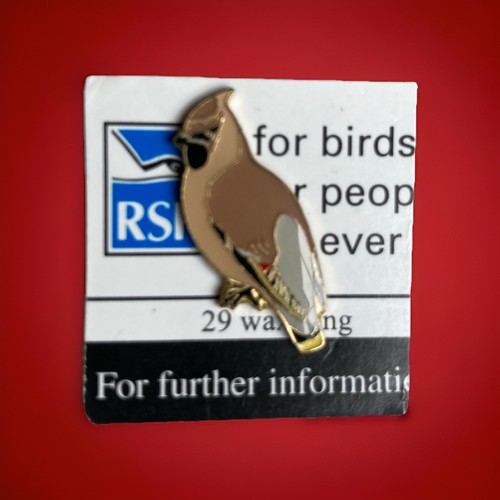 Rspb pin badge - waxwing, on