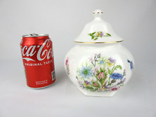 ⭐ Aynsley Wild Tudor -