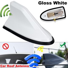 Universal Gloss White Car