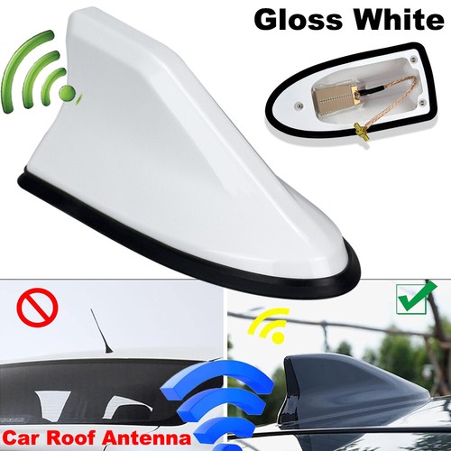 Universal gloss white car - gloss,