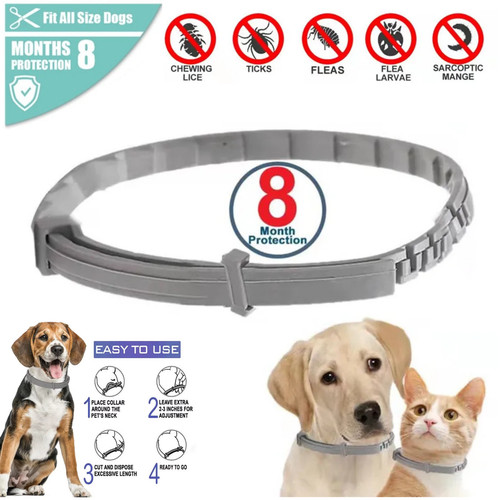 Advanced adjustable pet dogs - advanced,