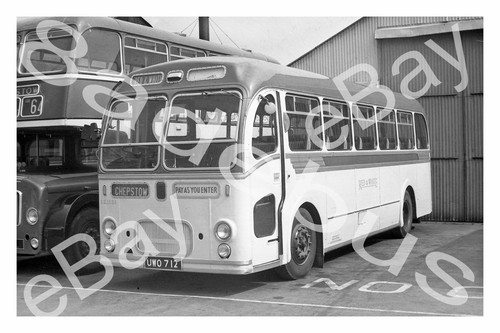 Bus photograph red - photograph, white