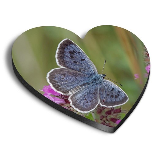 Heart fridge mdf magnet the - 1x,