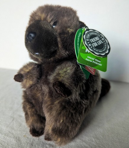 Beaver plush living - plush, nature