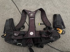 Northern Diver diving  Weight