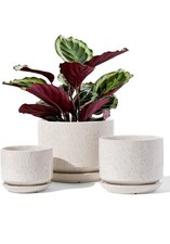 LE TAUCI Ceramic Plant Pots