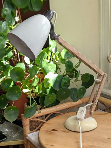 Vintage maclamp sir terence - maclamp,